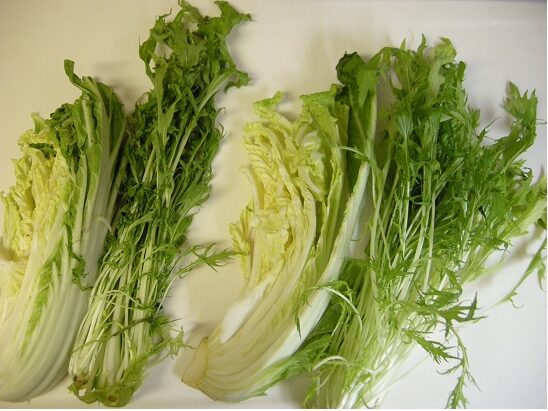 50度洗いをする前と後の野菜
