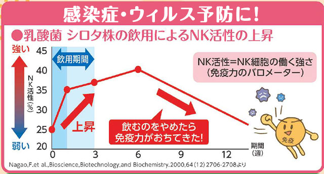 シロタ株で感染症やウイルス予防