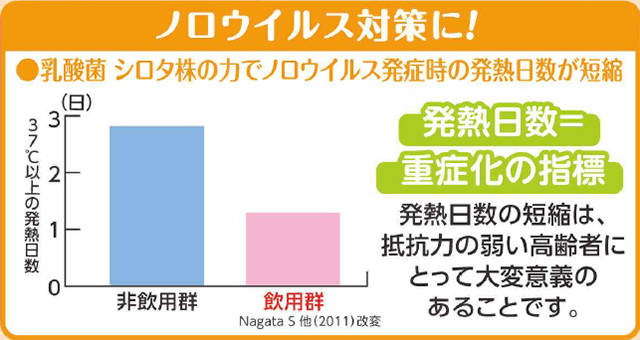 シロタ株でノロウイルス対策