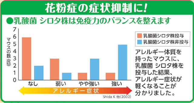 シロタ株でアレルギー対策